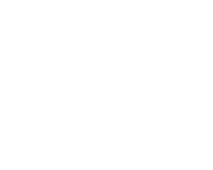 Niveau Earplugs